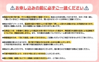 ◆2024年夏発送◆＜ 産直・訳あり桃・約1.5kg ＞ ※着日指定不可 ※北海道・沖縄・離島への配送不可 ※2024年7月中旬～9月中旬頃に順次発送予定