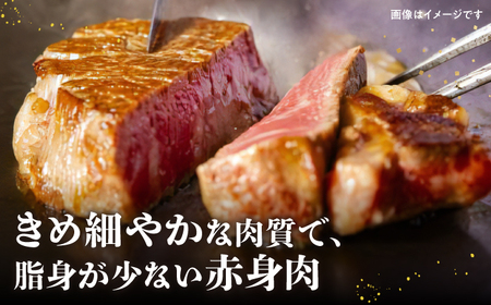 佐賀牛ヒレステーキ 200g（200g×1パック）A5ランク 佐賀牛 佐賀牛A5 佐賀牛ヒレ 佐賀牛フィレ 佐賀牛ステーキ 佐賀牛赤身肉 佐賀牛赤身 佐賀牛牛肉 佐賀牛A5ランク 佐賀牛焼肉 [HCS015]