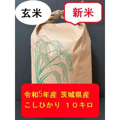 こしひかり　10キロ　令和5年産　茨城県産　玄米　新米　農家直送