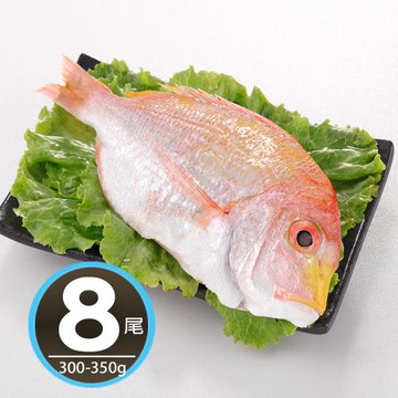 【華得水產】 台灣野生赤鯮魚8尾(300-350g/尾/去鰓、去鱗、去內臟)