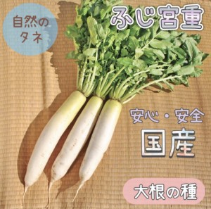  「ふじ宮重」 大根の種 化学肥料 農薬不使用で栽培 家庭菜園 種 タネ 大根 野菜