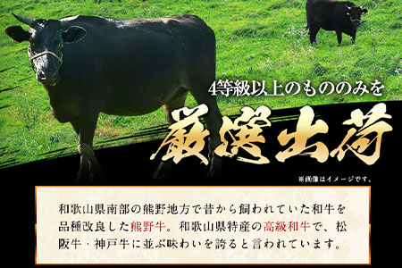 「熊野牛」特選モモスライス800g 4等級以上 株式会社松源 《90日以内に順次出荷(土日祝除く)》 和歌山県 紀の川市