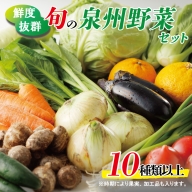 010B507 旬の野菜セット 詰め合わせ 10種類以上 国産 新鮮 お試し おまかせ お楽しみ