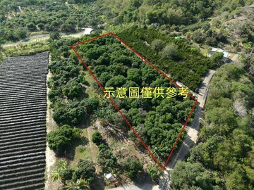 內門807坪平坦果園農地現成大棵荔枝樹快樂農夫首選｜高雄市內門區金竹段