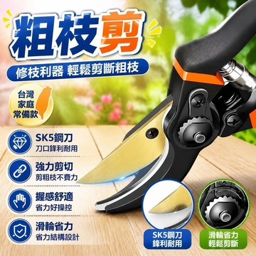 隔日達⭐台灣現貨⭐SK5鋼樹枝剪刀 粗枝園林剪 修剪果樹 修枝剪 多用途花園剪刀 花卉 花剪 園藝剪 花藝剪刀 園藝剪刀