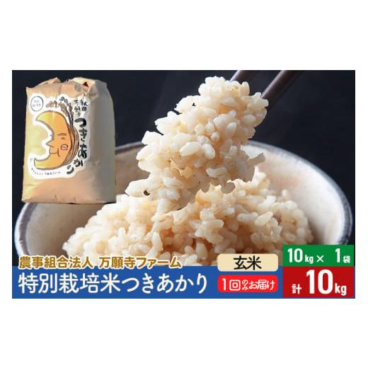 ふるさと納税 秋田県 美郷町 令和5年産 特別栽培米つきあかり 10kg（10kg×1袋）
