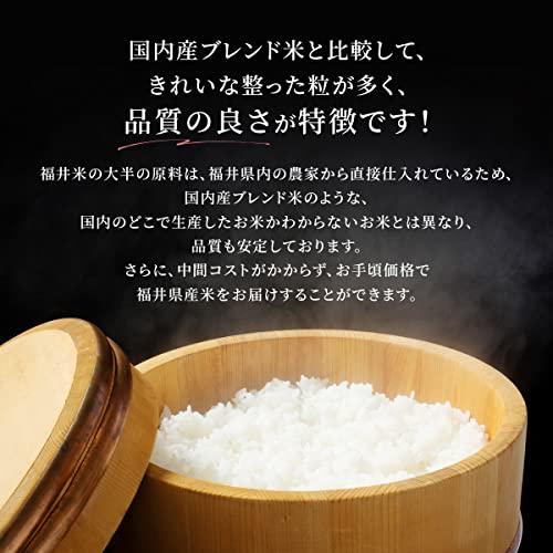 新米 福井県産福井米 白米 令和5年産 (30kg)