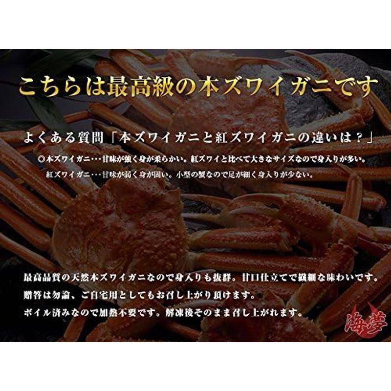 特選 ズワイガニ 天然ボイル 北海道加工 贈答 ギフト ずわい蟹 姿 2尾セット 約1.2kg