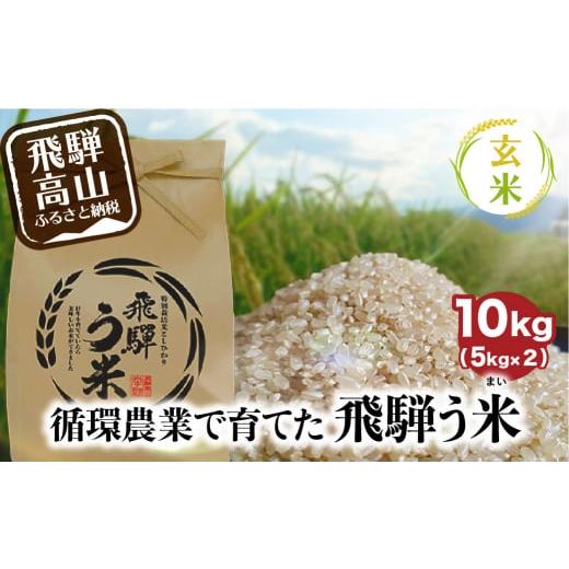 ふるさと納税 岐阜県 高山市   ”飛騨う米” 玄米 10kg 10月中旬〜発送 有機肥料100％ 米 お米 受賞米 米コン3年連続特別優秀賞受賞米 …