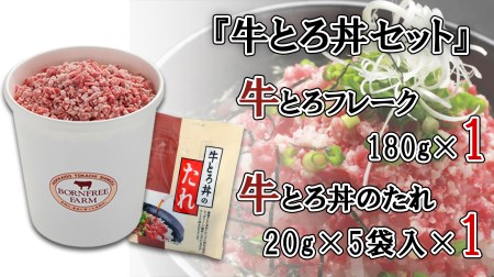 牛とろ丼セット