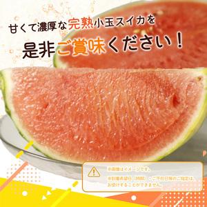 ふるさと納税 紀州和歌山産小玉スイカ 「ひとりじめ」2玉 ※着日指定不可 ※2024年6月上旬〜下旬頃に順次発送予定 和歌山県美浜町