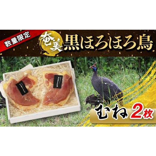 ふるさと納税 鹿児島県 与論町 奄美 黒ほろほろ鳥 　むね 2枚