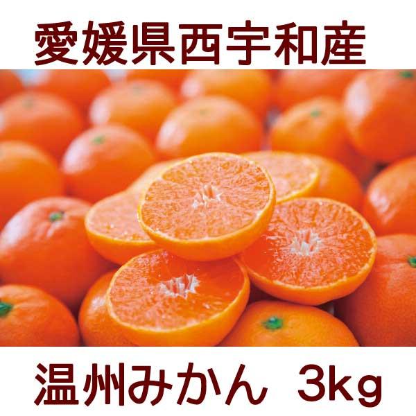 産地直送 2023お歳暮 冬ギフト 愛媛県西宇和産 温州みかん（3kg） 1009-560 常温配送 送料無料