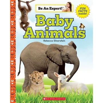 Be An Expert!: Baby Animals / Scholastic出版社旗艦店
