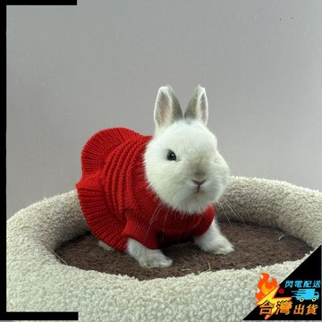 【台灣出貨】寵物服飾 寵物兔子保暖衣服 秋冬季 侏儒兔 垂耳兔子 防脫毛 毛衣裙子 公主風時尚 兔兔 保暖衣服