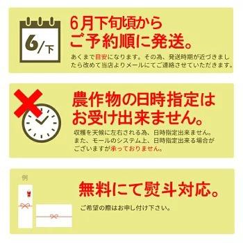 さくらんぼ 佐藤錦 Ｌ玉以上 ７００ｇ バラ詰め 山形 秀品 2024 山形県産 サクランボ 取り寄せ 化粧箱入 送料無料 (遠方送料加算)