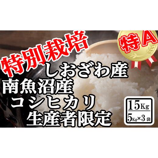 ふるさと納税 新潟県 南魚沼市 特別栽培 生産者限定 南魚沼しおざわ産コシヒカリ15Kg