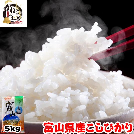 新米 5kg 富山県産 コシヒカリ 米 令和5年産 内のし対応 贈り物