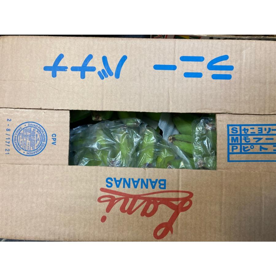 サババナナ SABA BANANA 5房前後 約10kg フィリピン産 調理用バナナ 料理用バナナ 野菜バナナ