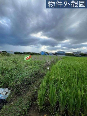 八德茄苳段都計內農地　稀有地、地形超方正、臨馬路｜桃園市八德區茄苳段