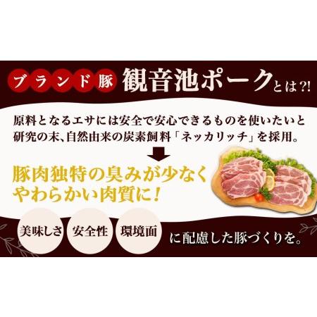 ふるさと納税 「観音池ポーク」ロース＆肩ロース とんかつ3kgセット_MJ-1529_(都城市) 豚肉 ロース 肩ロース とんかつ 冷凍 宮崎ブランドポーク.. 宮崎県都城市