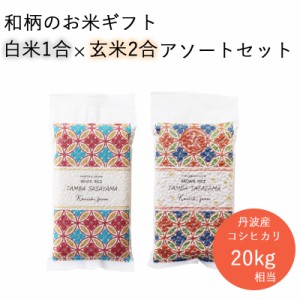 白米150g 玄米300g×20kg相当 アソートセット コシヒカリ ブランド米 引っ越し 送料無料