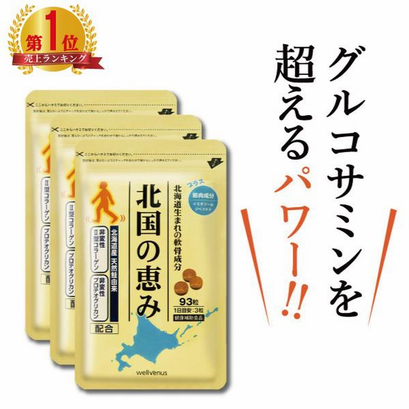 北国の恵み 93粒×3袋 約3ヶ月分 プロテオグリカン サプリ サプリメント