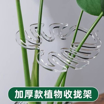 在臺好物🍰龜背竹支撐杆花支撐架枝幹收攏架植物防倒伏支架綠植固定神器花架TRY