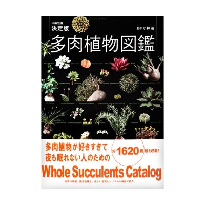 多肉植物全書サボテン全書図鑑アガベエケベリア - その他