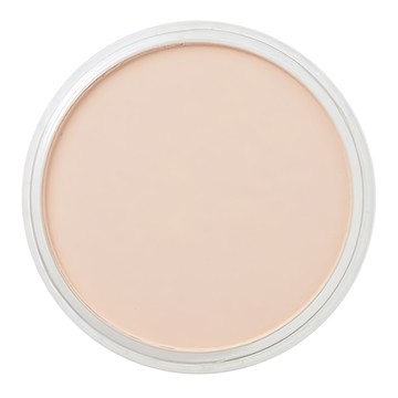 PANPASTEL 粉彩餅 740.8淺焦茶紅 9ml  1色  1個