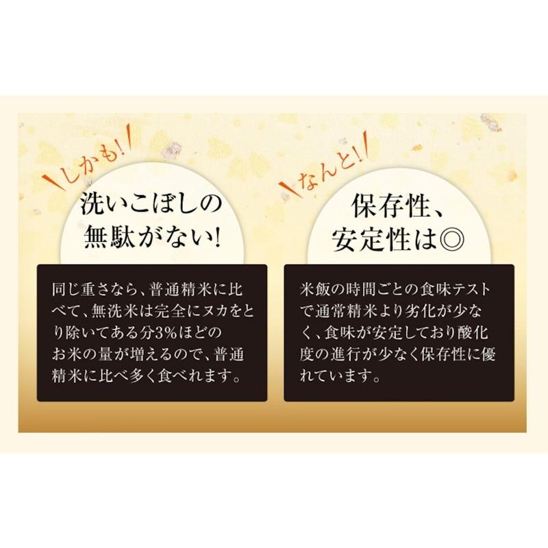 令和５年産 新米 コシヒカリ 無洗米 30kg 魚沼産 新潟県 南魚沼 JAみなみ魚沼農協 特Ａ地区 南魚沼産 雪国の恵み 通常包装 送料無料