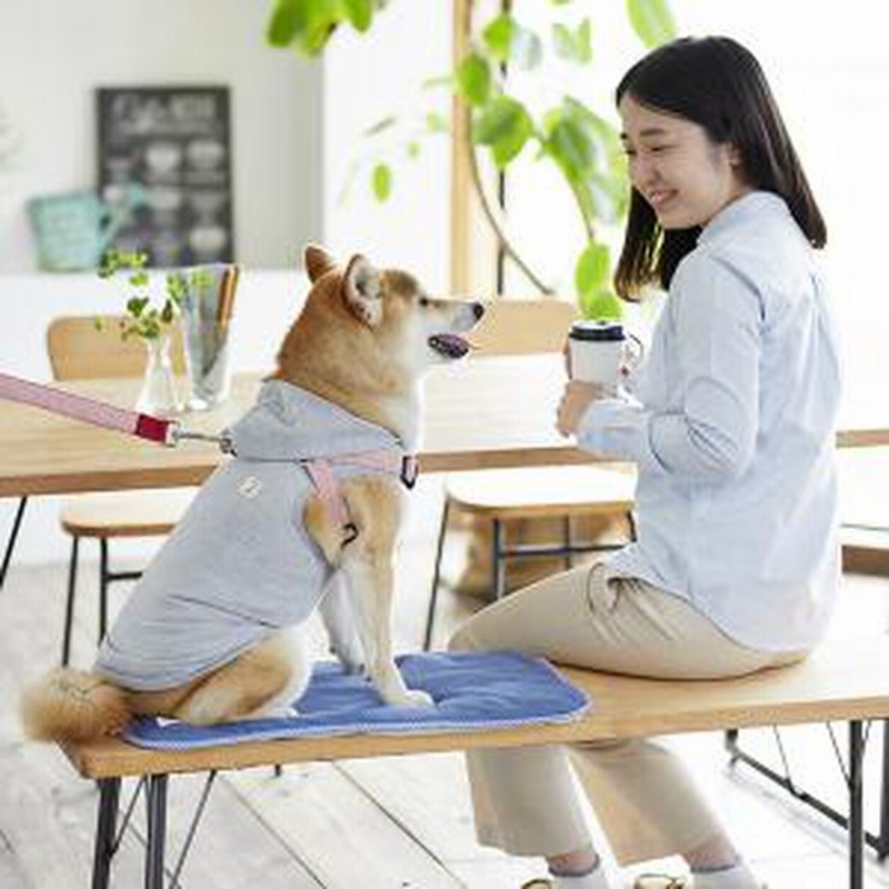 Sippole Sippole ストレッチパーカー 19 グレー 3号 ウェア 犬服 通販 Lineポイント最大7 0 Get Lineショッピング