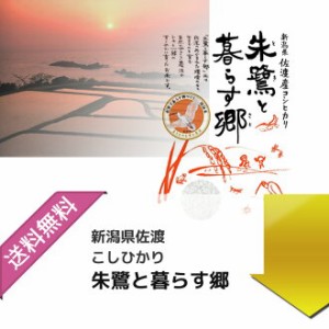 新米 お米 令和5年産 5kg 朱鷺と暮らす郷　特別栽培米　新潟佐渡産こしひかり 玄米 5kg 選べる精米 白米 分付き 嬉しいプレゼント付き 送