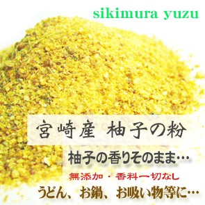 宮崎産 柚子パウダー100G ゆずの粉 柚子 ゆずパウダー 粉末 パウダー 国産 九州 無添加 調味料 送料無料