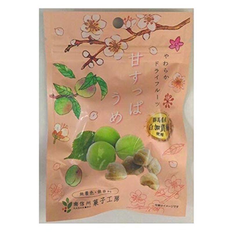 南信州菓子工房 ひとくち甘すっぱうめ 20g ×10袋