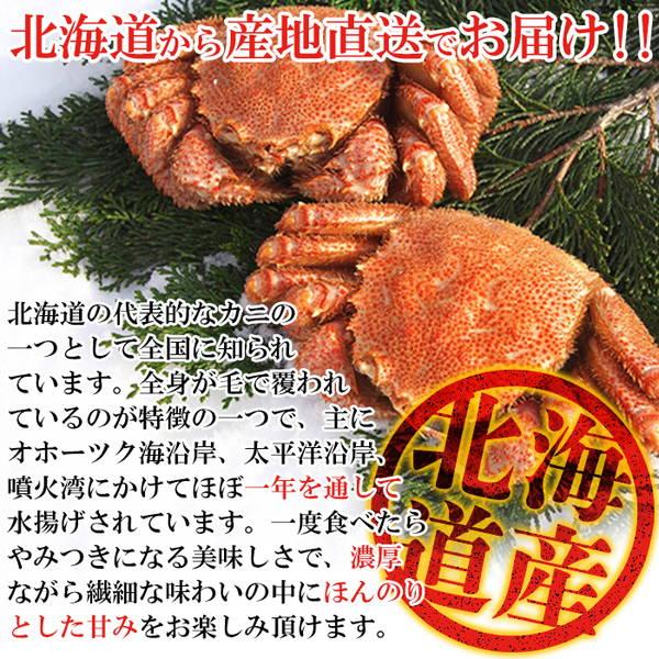 毛ガニ 毛蟹 ボイル 北海道産 400g×2尾 ギフト対応可 冷凍便