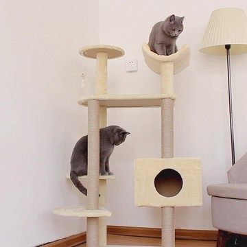 免運 貓跳台貓爬架 四季通用貓爬架貓爬架子實木貓架貓窩貓樹一體大型貓咪用品貓抓柱