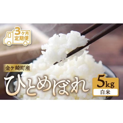 ふるさと納税 岩手県 金ケ崎町  毎月 5kg お届け 精米 金ケ崎町産 お米 自宅 炊飯 お弁当 袋 岩手県 金ケ崎町 いわて 米 コメ …