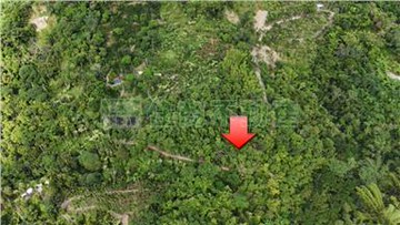 番路棕梠湖球場旁很便宜農地｜嘉義縣番路鄉內甕段