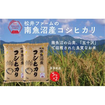 ふるさと納税 南魚沼市 南魚沼産コシヒカリ10kg全12回