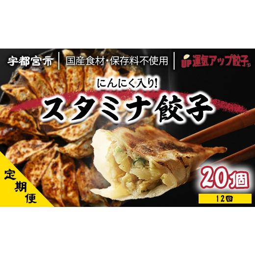 ふるさと納税 栃木県 宇都宮市 『定期便』宇都宮餃子　スタミナ餃子　保存料不使用　全12回