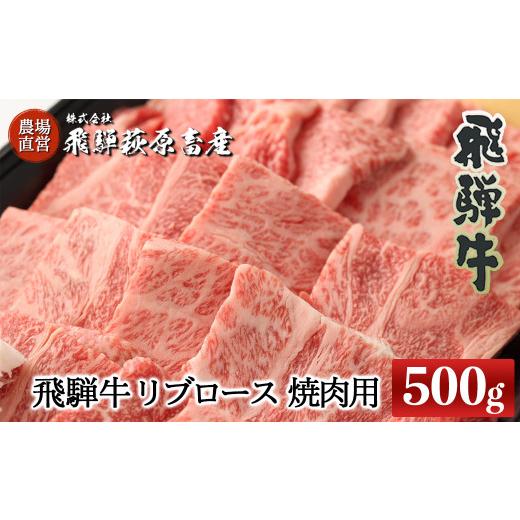 ふるさと納税 岐阜県 下呂市 飛騨牛リブロース  500g（焼肉用）国産 牛肉 ブランド牛 おすすめ 高級 やきにく 焼き肉 焼肉 牛 肉 肉ギフト 贈答