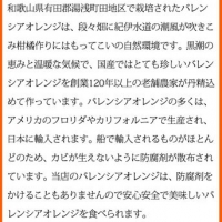 秀品　希少な国産バレンシアオレンジ ５kg ※2024年6月下旬～7月上旬頃に順次発送予定