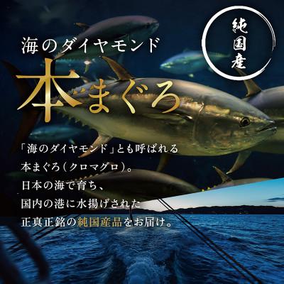 ふるさと納税 越前市 絶品!本マグロ セット 大トロ 250g   中トロ 250g   赤身 250g(すべて柵どり)