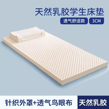 乳膠床墊學生宿舍單人墊子員工榻榻米記憶慢回彈抑菌透氣 3D