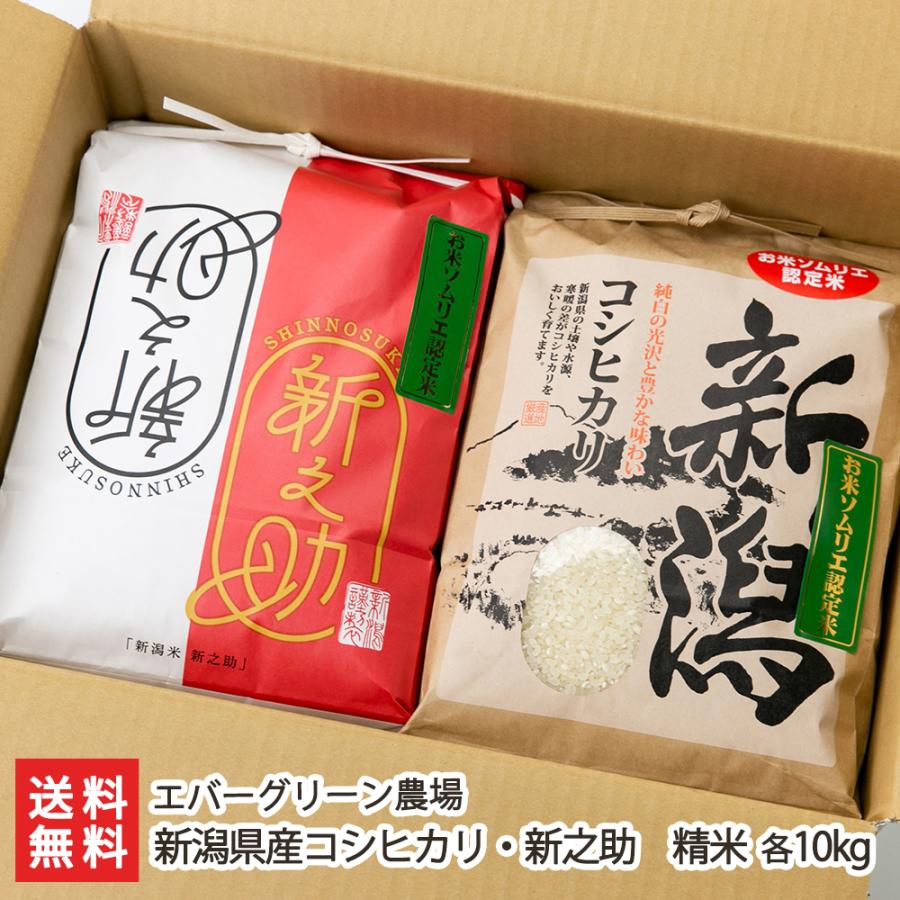 新潟県産コシヒカリ・新之助 精米 各10kg（各5kg×2袋） エバーグリーン農場 送料無料