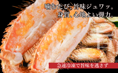 北海道産 ボイル 毛蟹 2杯 約1kg 蟹 カニ かに 毛ガニ 毛がに 噴火湾 魚介類 海の幸 海鮮 天然 職人 蟹味噌 丸ごと 蟹肉 蟹姿 産地直送 お取り寄せ 山村水産 送料無料