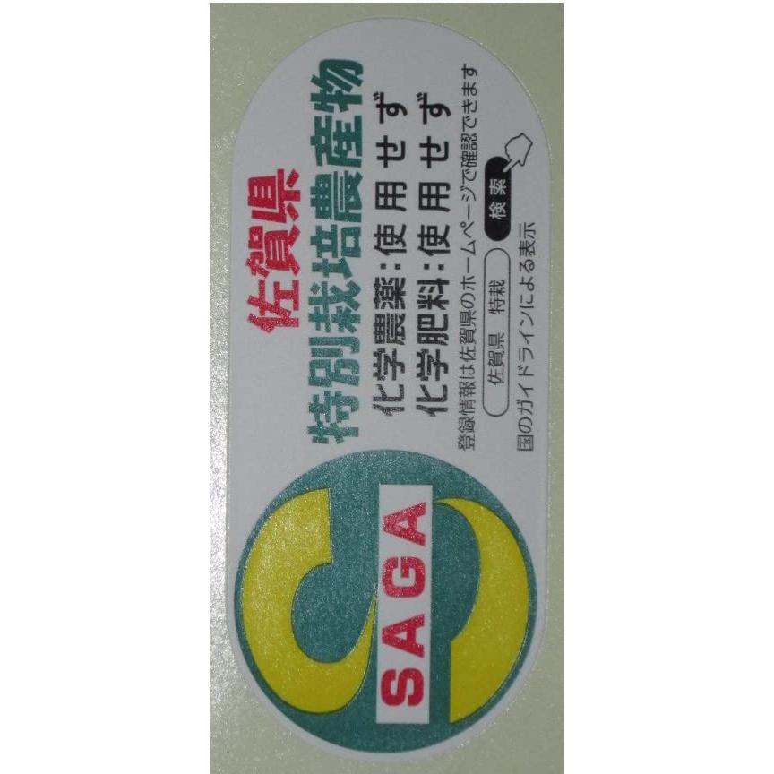 *令和４年 佐賀県産 さがびより 玄米（10kg）特別栽培米A *農薬不使用、化学肥料不使用です(今年は２等米)