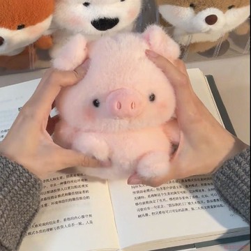 甄選好物🌈原創桌伴娃娃小擺件可愛毛絨玩具陪伴玩偶裝飾品學習搭子生日禮物