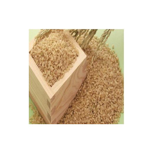ふるさと納税 宮城県 登米市 こだわりの登米産つや姫玄米３０ｋｇ一等米